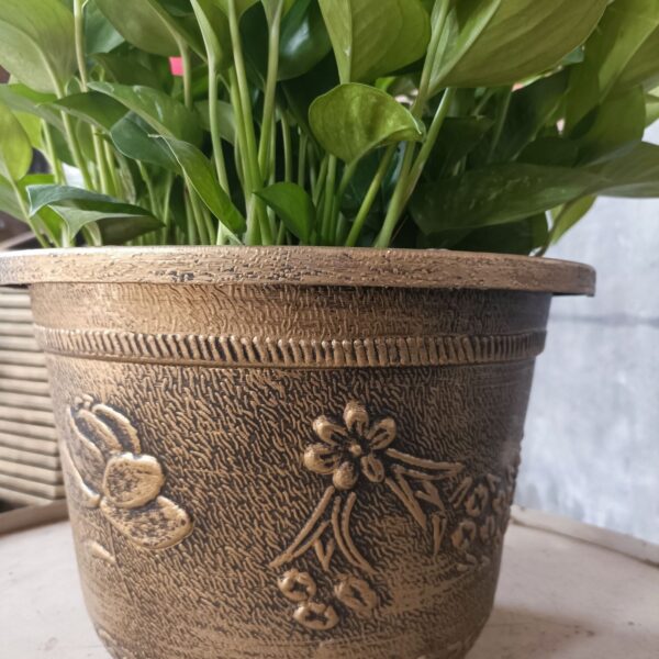 Resin Bonsai Pot for Fish Farming – Durable Thickened Plastic Planter - Bonsai Planter | All Products