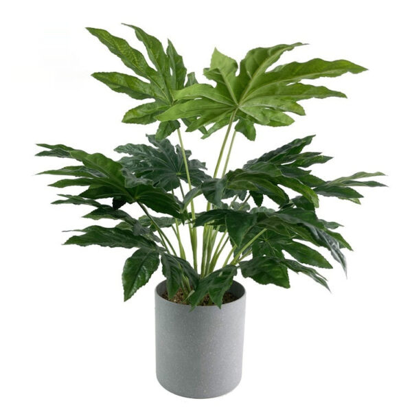 Top view of Fatsia Japonica artificial plant in gray pot showing large glossy leaves.