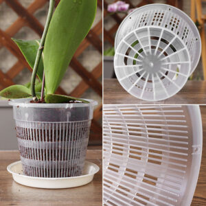 Transparent Root Control Orchid Pot - Breathable Plastic Flower Pot with Chassis for Phalaenopsis - Breathable Plant Pot | All Products