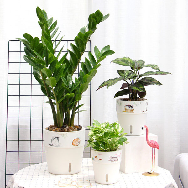 Water storage plastic flower pot - NoTag | All Products