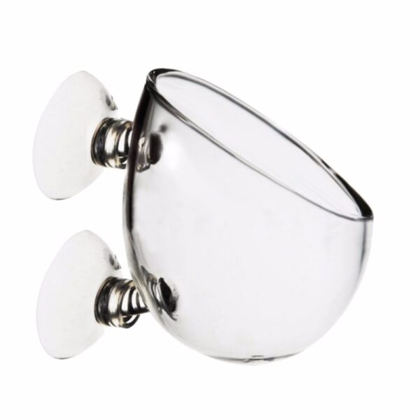 Aquatic Plant Nursery Pot Transparent, 6.5x7cm - Aquatic Plant Pot | Hydroponic Plant Pots
