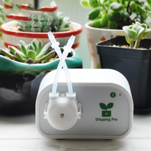 Automatic Plant Watering System White, US - Automatic Watering Device | Garden Tools & Supplies
