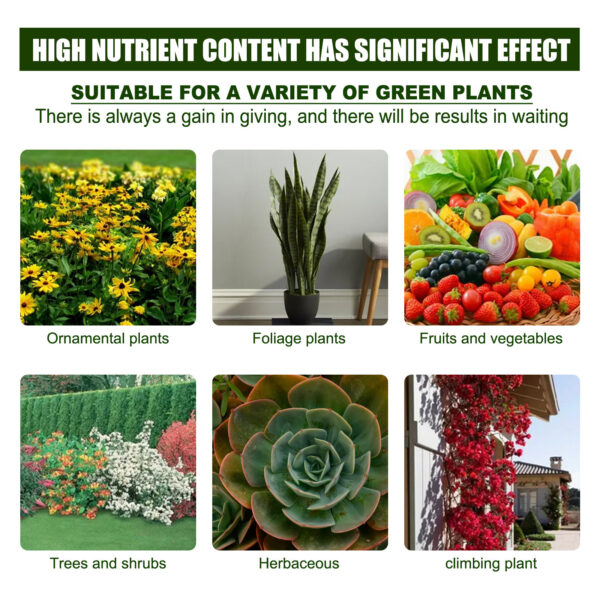 Amino Acid Plant Nutrient Solution Organic Foliar Fertilizer - Image 9