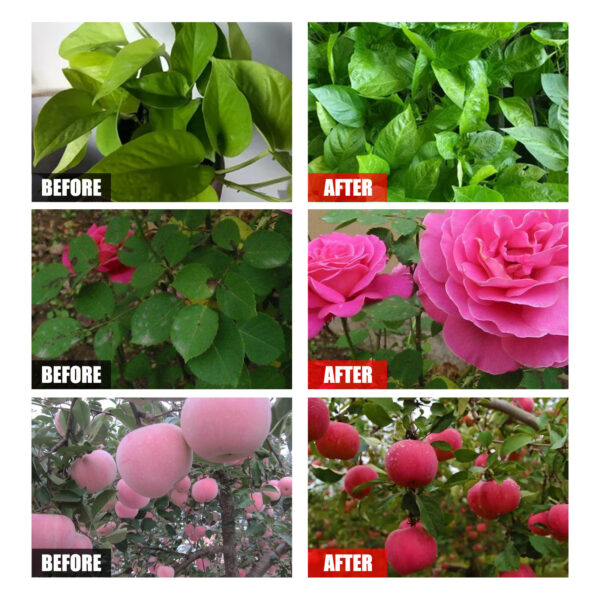 Amino Acid Plant Nutrient Solution Organic Foliar Fertilizer - Image 8