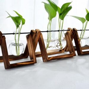 Elegant Oversized Glass Tabletop Plant Decor with Wood Frame for Modern Home and Office - Glass Plant Stand | All Products