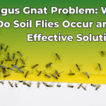 fungus-gnat-preview