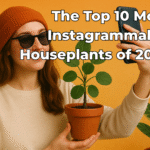 Plastic Resin Flower Pot – Durable Decorative Planter with Vertical Stripes, Indoor/Outdoor Use – Colorful Round Pot for Desk, Floor & Home Garden Colorful Planter Garden Plant Terra 11 the-top-10-most-instagrammable-houseplants-of-2025